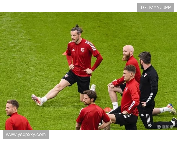 墨西哥与威尔士精彩对决视频回顾及赛后分析分享